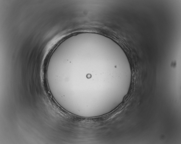 X0000115760294200911271123