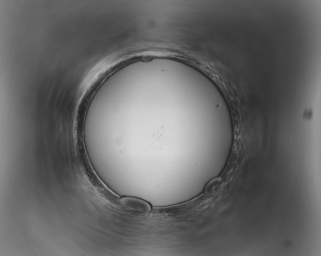 X0000115760296200911271123