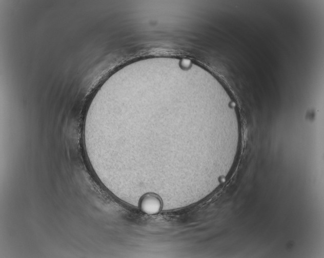 X0000115760297200911271123