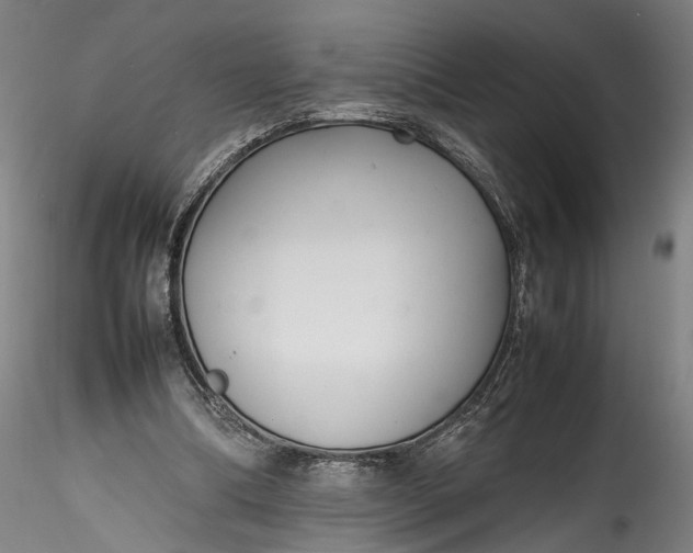 X0000115760298200911271123