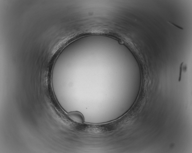 X0000115760299200911271123