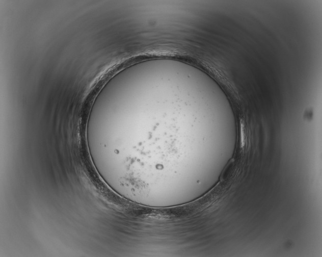 X0000115760300200911271123