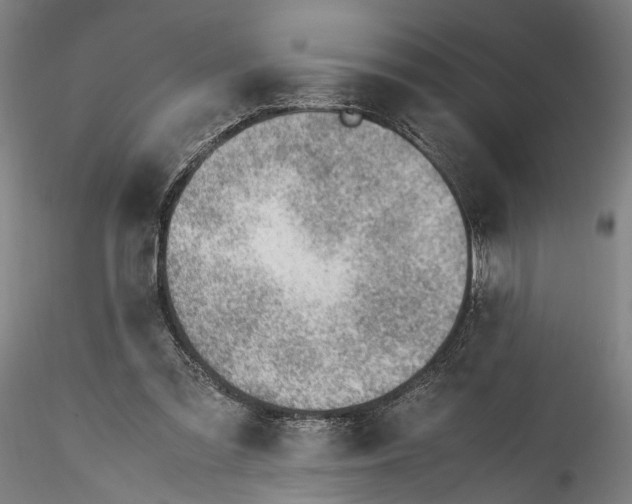 X0000115760301200911271123