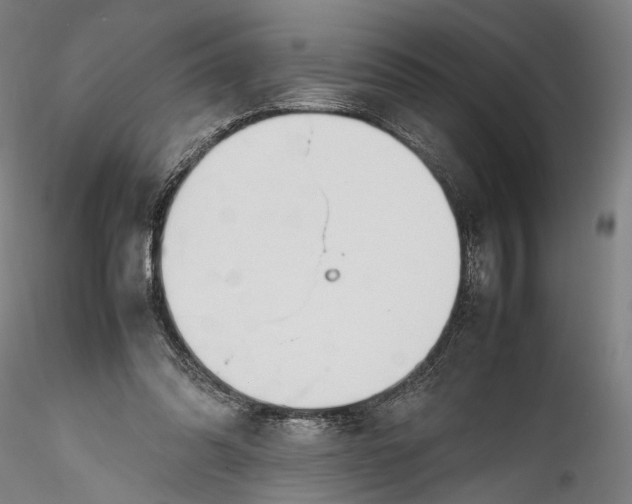 X0000115760302200911271123