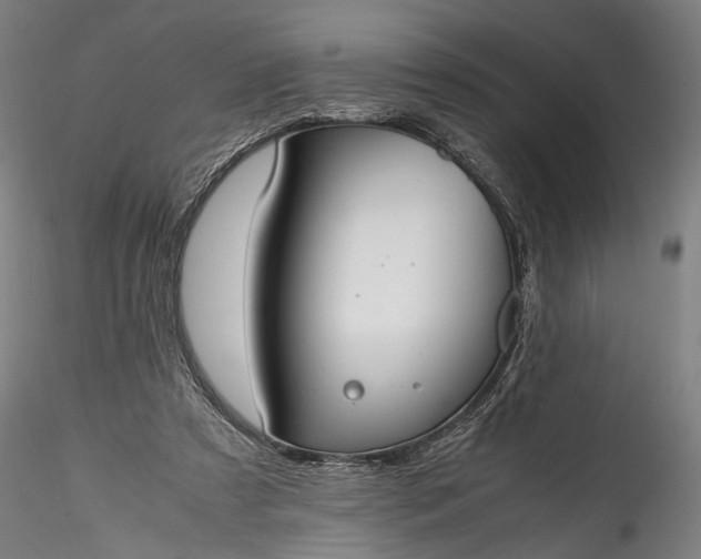 X0000115760305200911271123