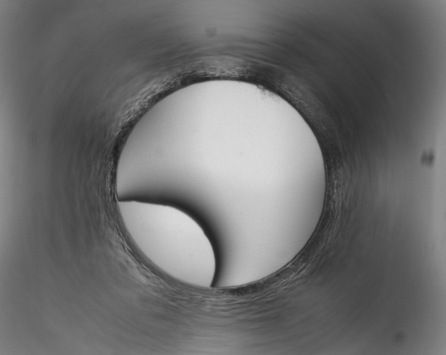 X0000115760309200911271122