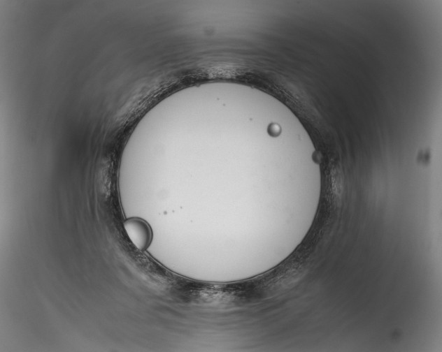 X0000115760311200911271122