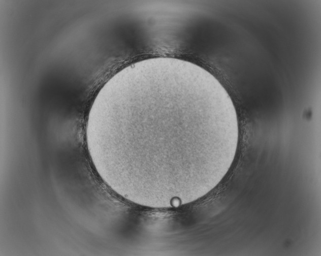 X0000115760313200911271122