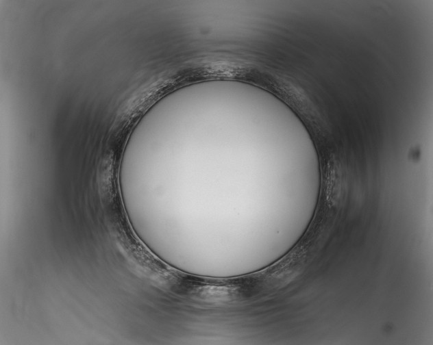 X0000115760314200911271122