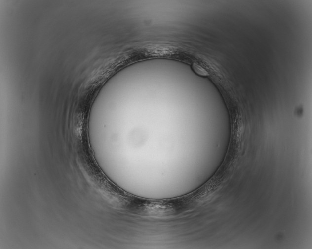 X0000115760315200911271122