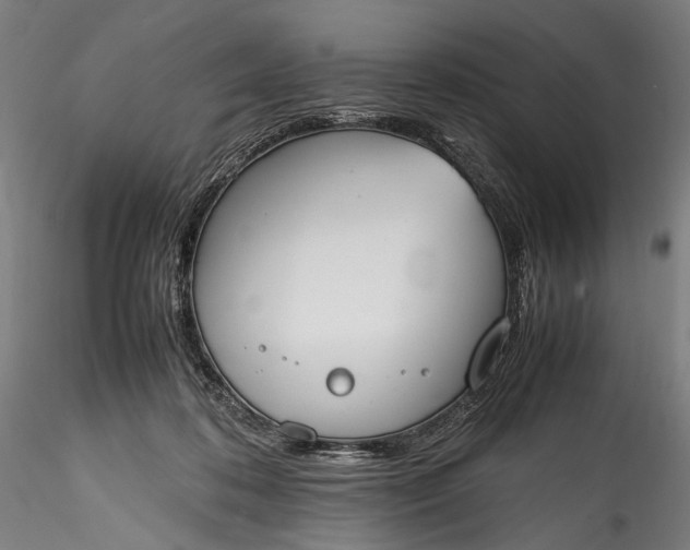 X0000115760316200911271122