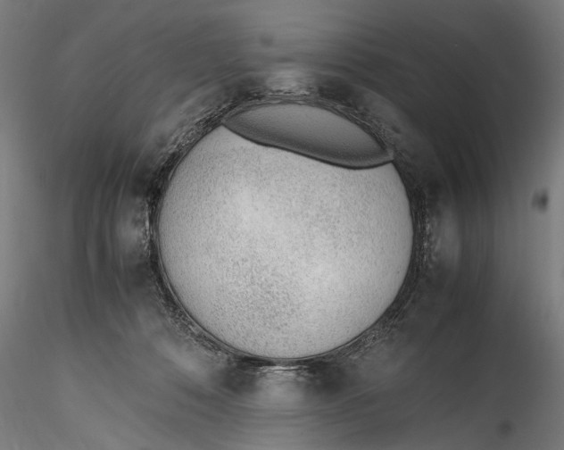 X0000115760320200911271122