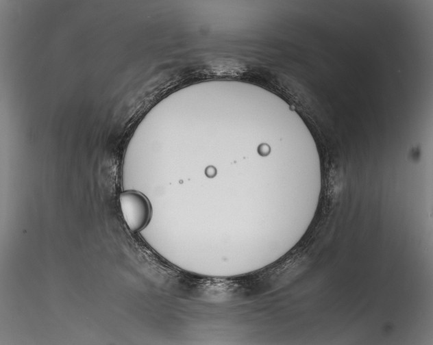 X0000115760321200911271122