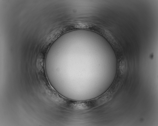 X0000115760322200911271122