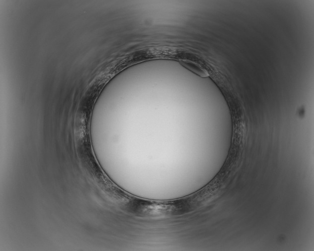 X0000115760323200911271122