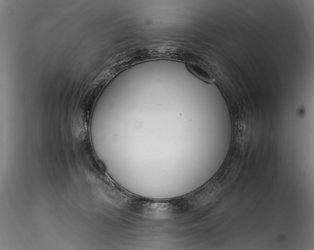 X0000115760324200911271122