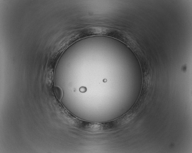 X0000115760325200911271122