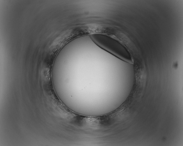 X0000115760327200911271122