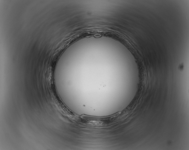 X0000115760328200911271122