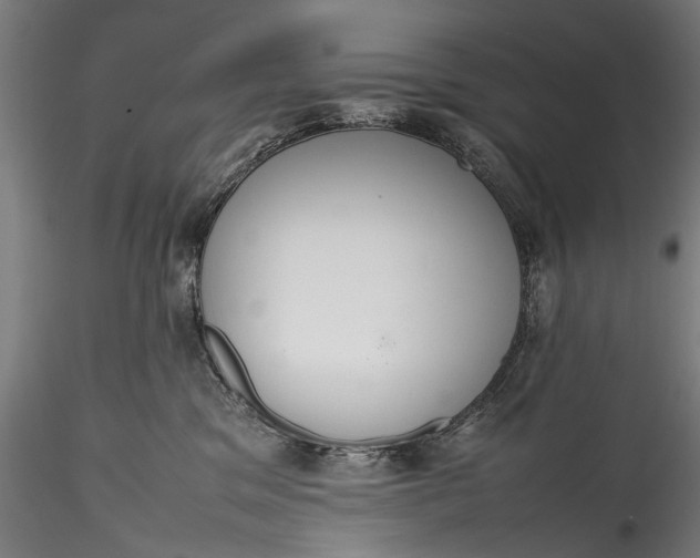 X0000115760329200911271122