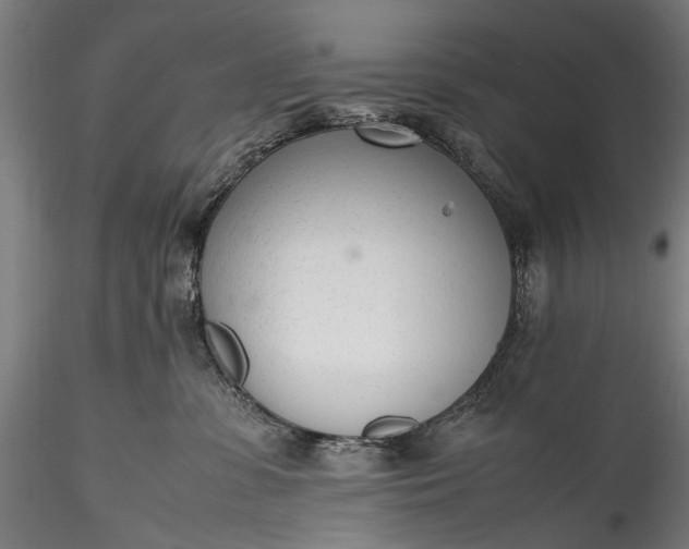 X0000115760331200911271122