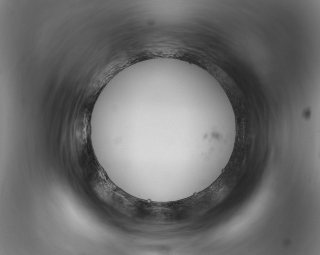 X0000115760334200911271122