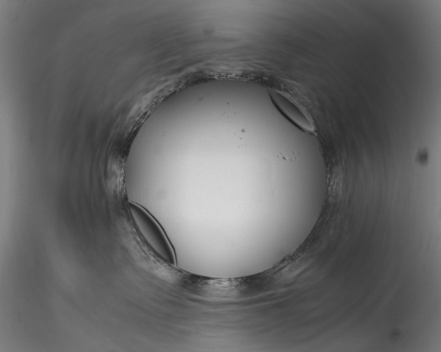 X0000115760335200911271122