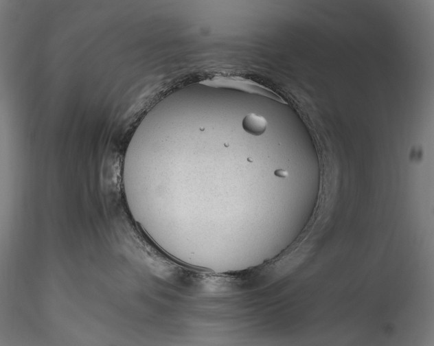 X0000115760336200911271122