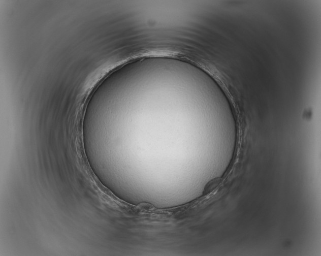 X0000115760337200911271121