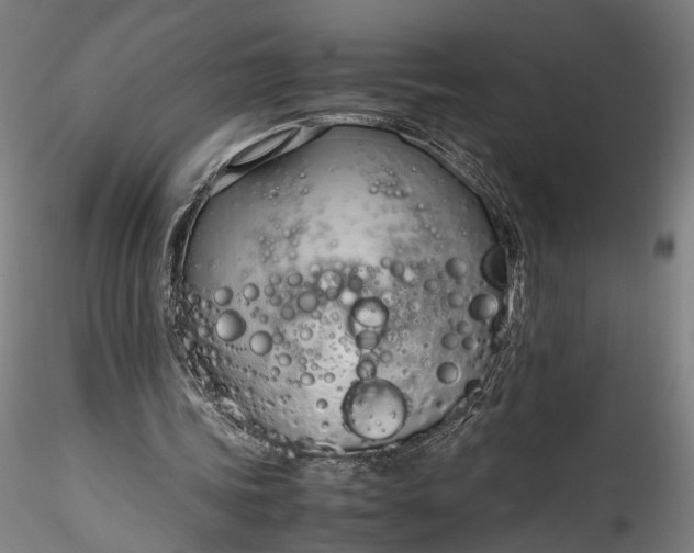 X0000115760339200911271121