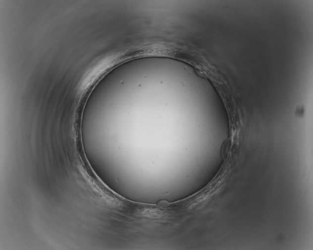 X0000115760341200911271122