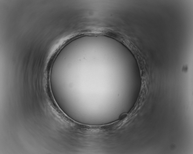 X0000115760342200911271122