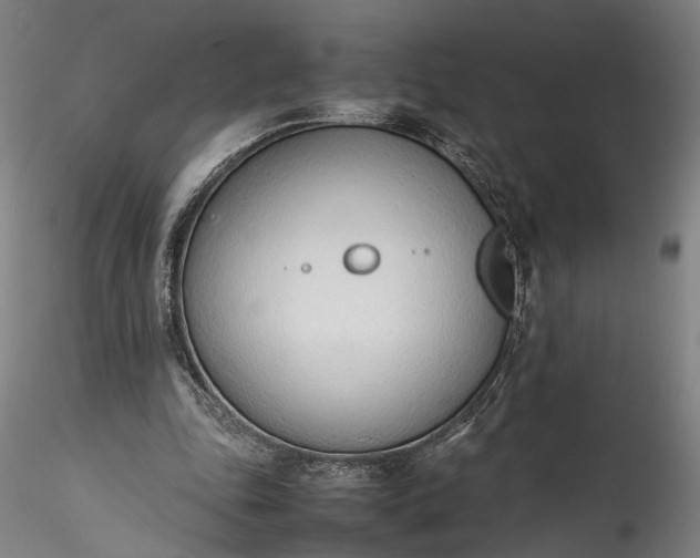 X0000115760343200911271122