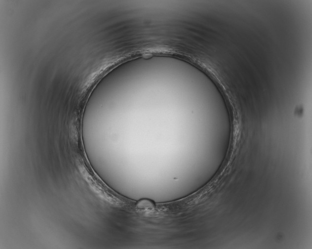 X0000115760345200911271122