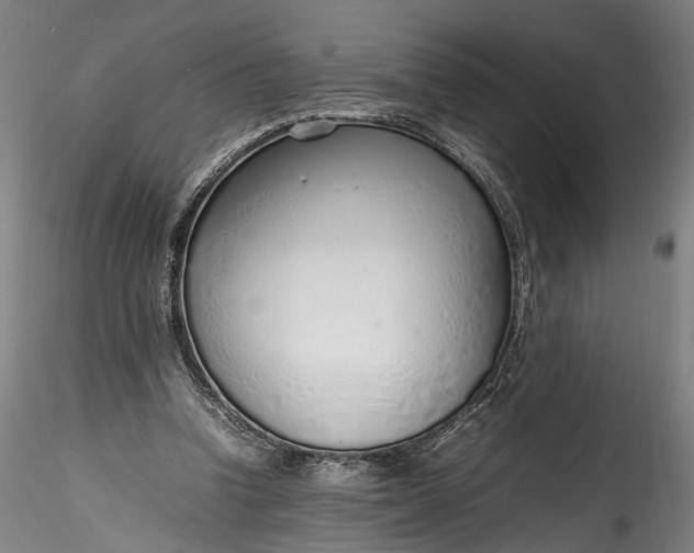 X0000115760346200911271122