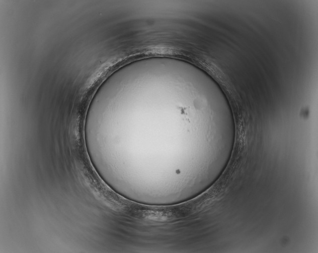 X0000115760347200911271122