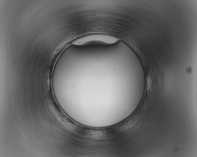 X0000115760349200911271122