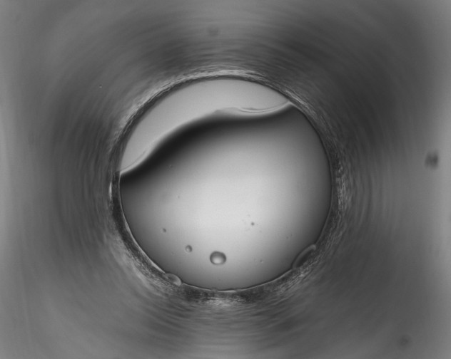 X0000115760350200911271122