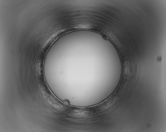 X0000115760351200911271122