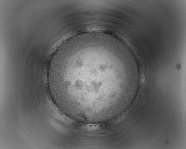 X0000115760353200911271122