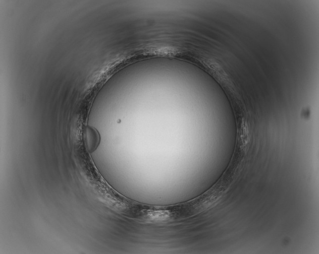 X0000115760355200911271122