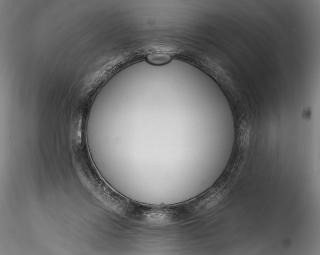 X0000115760358200911271122