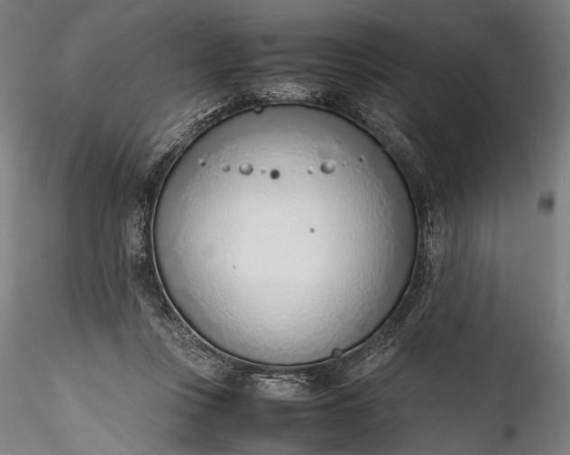 X0000115760359200911271122