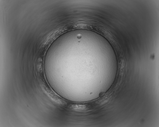 X0000115760361200911271122