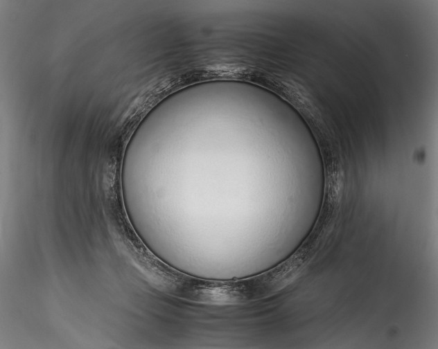 X0000115760365200911271122