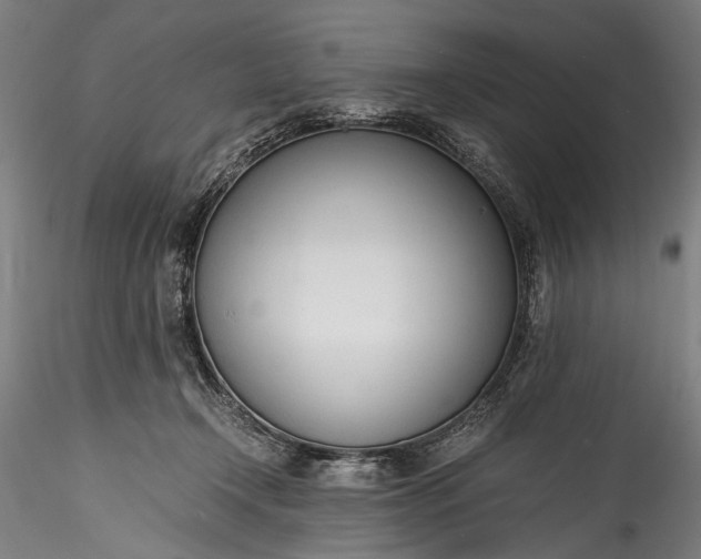 X0000115760366200911271122