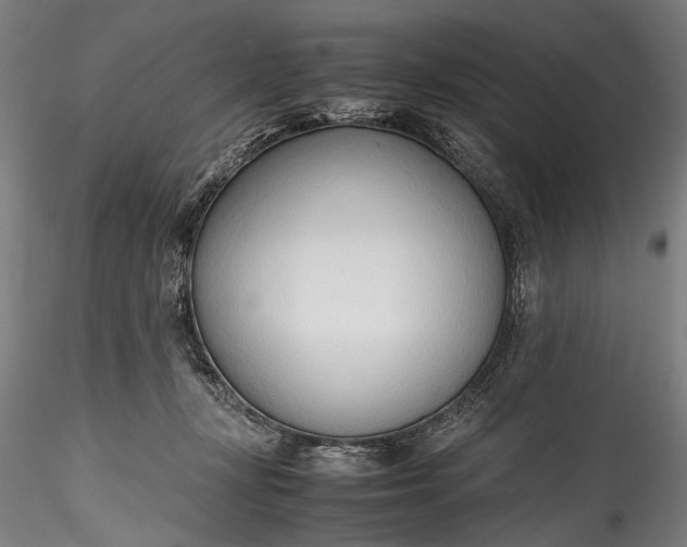 X0000115760367200911271122