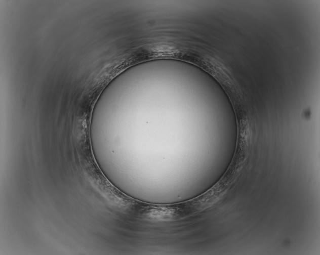 X0000115760369200911271122