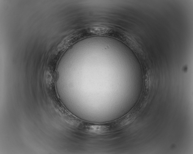 X0000115760371200911271122