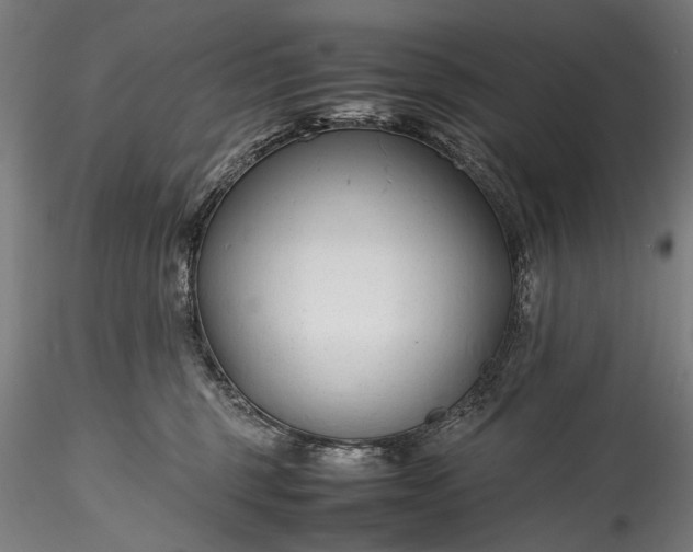 X0000115760375200911271122